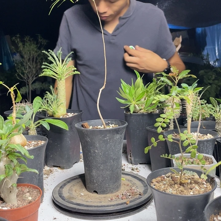 大***菜帕卡裂揽的是一个人的