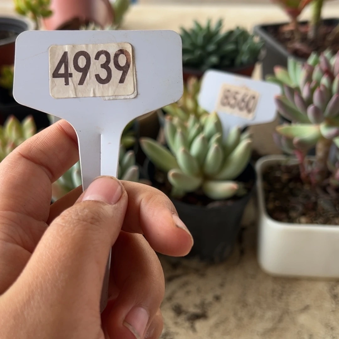 【闪购商品】没****?4939。 11111111