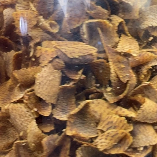 沉香手把件黄棋母树切片多样性发货30克