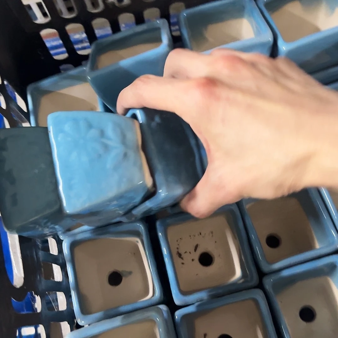 4个-4个-福利局绿植多肉盆［凑9元包邮24小时发］