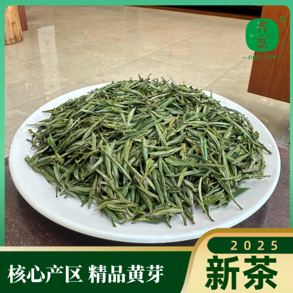 黄芽25年新茶核心产区明前精品小肥芽  A56