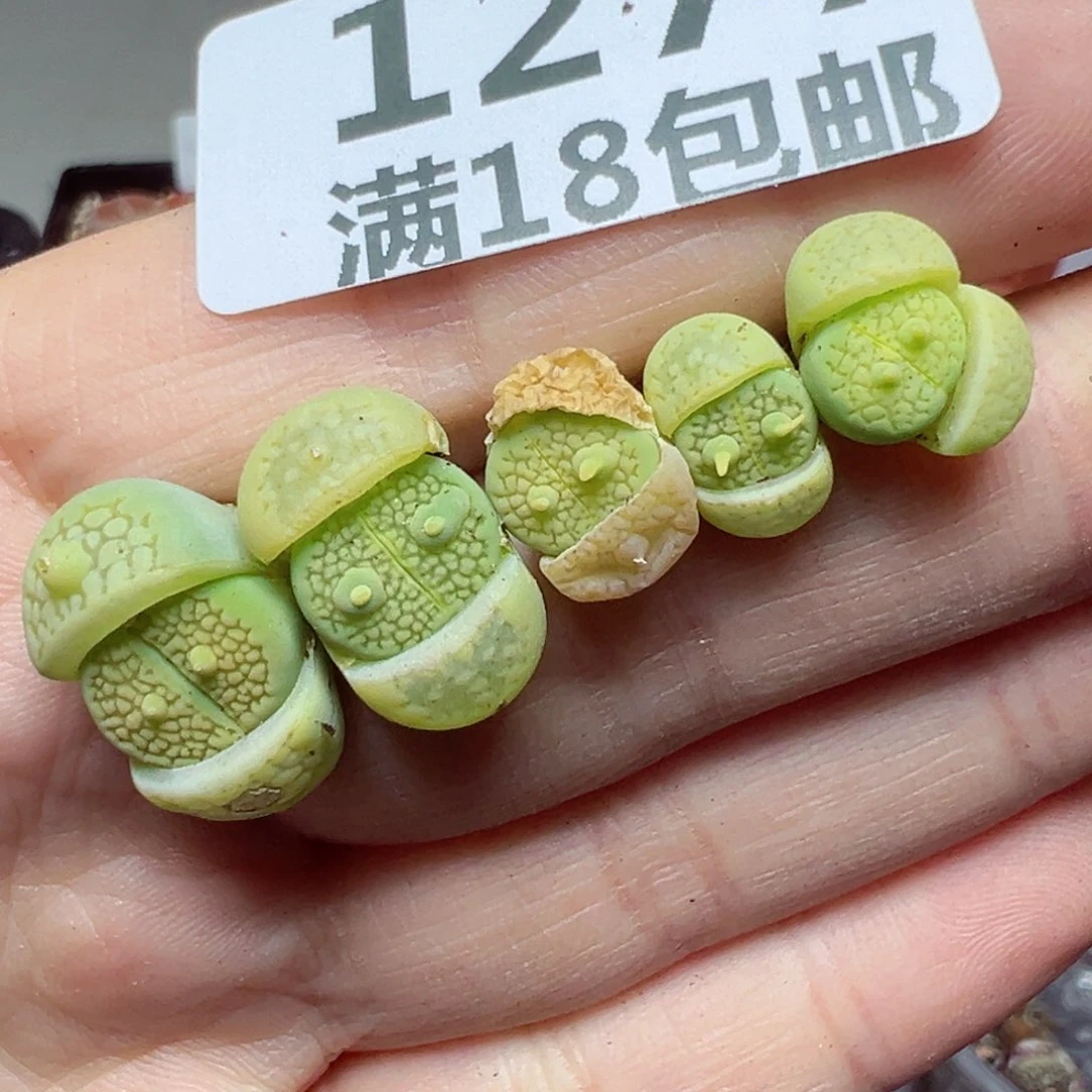 【闪购商品】1277……