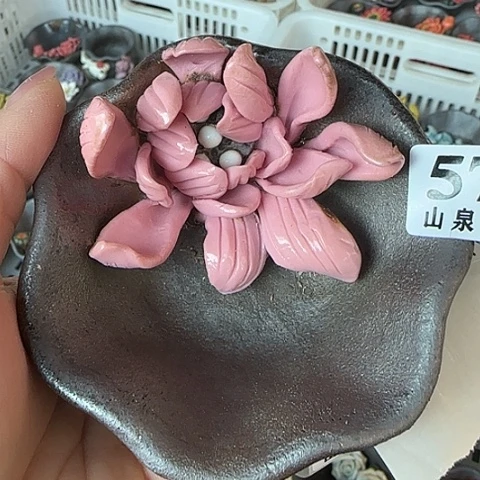 瓷片柴烧柴烧柴烧579