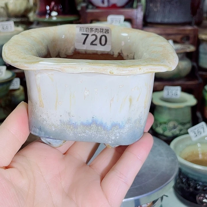 狼盆内口径8高度8