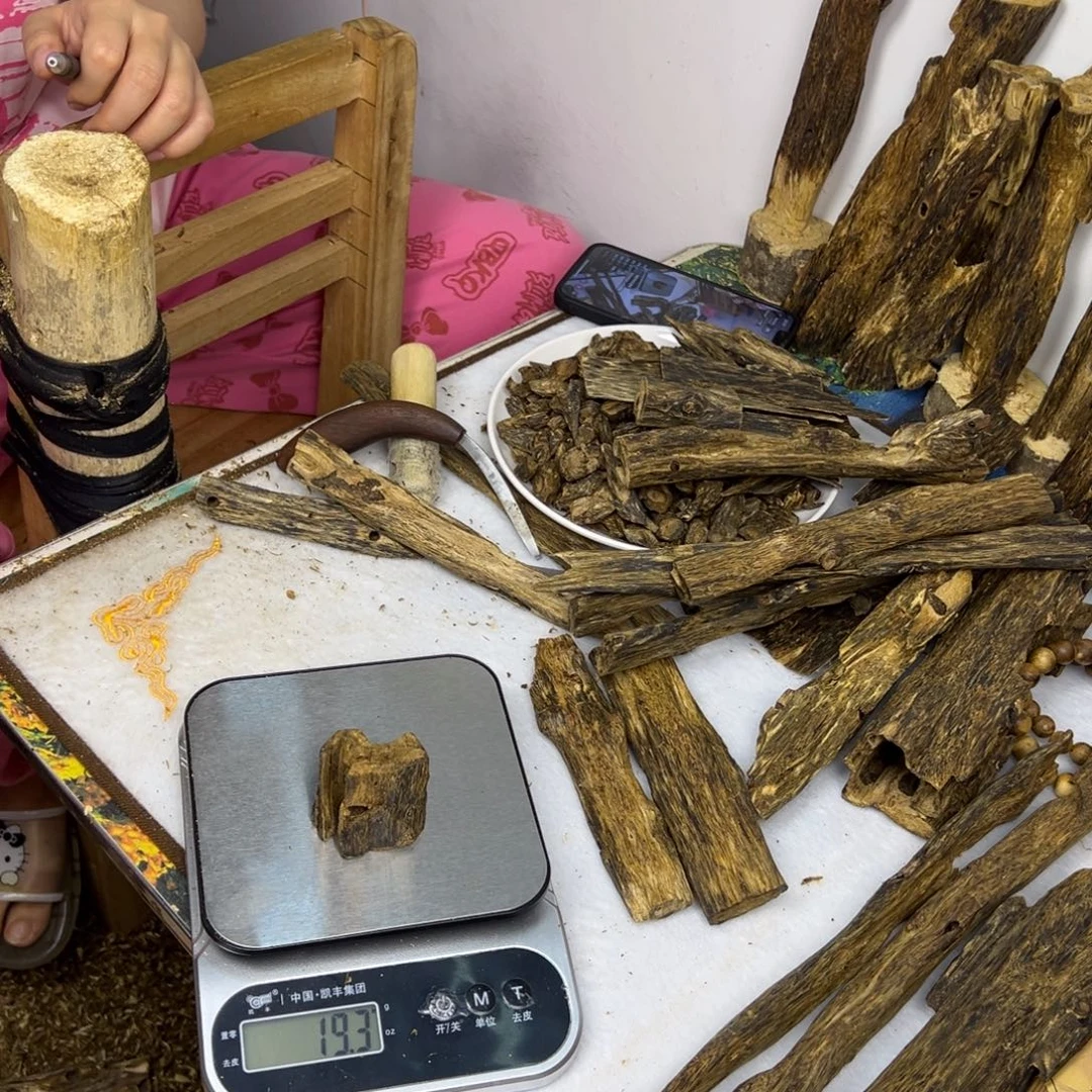 线香奇楠虫漏香19克