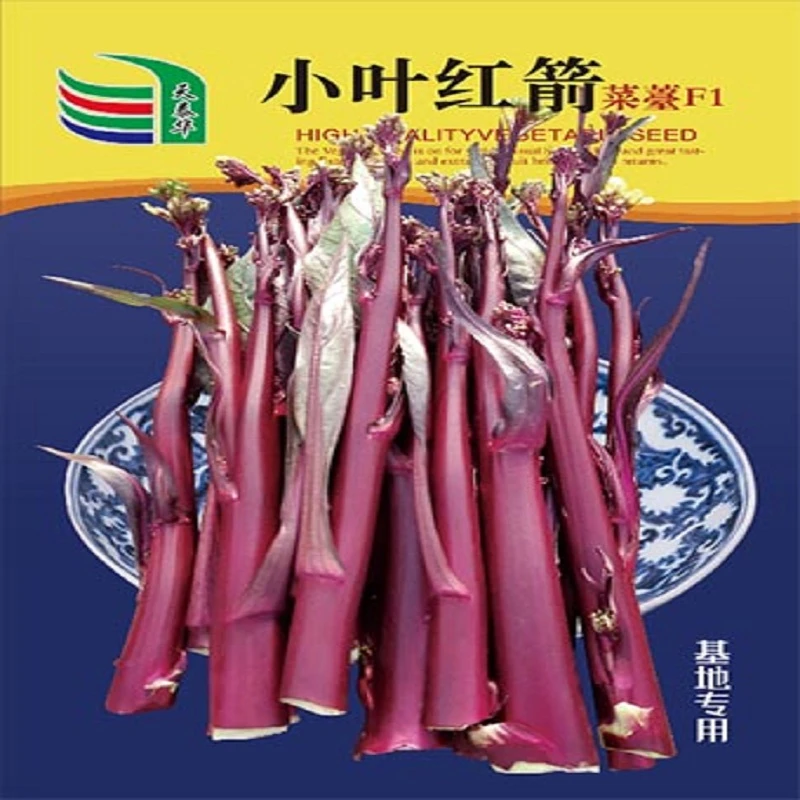 紫红粗脆嫩中早熟甜脆小叶红菜苔高产红菜苔种子原装正品