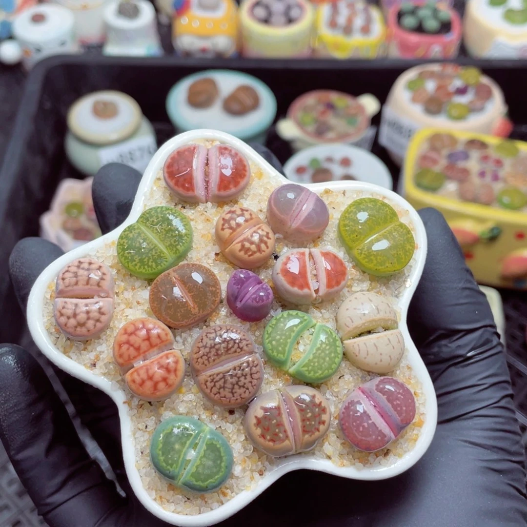 w8887--零下地区拍保温箱，-15度支持寄养