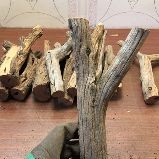 大果紫檀（缅甸花梨）?***你