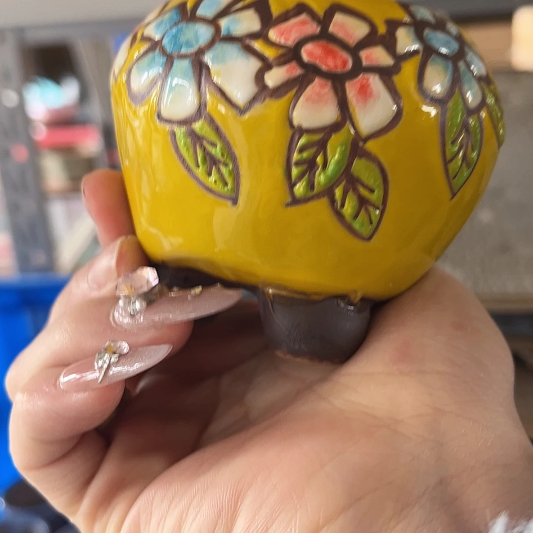 【闪购商品】红陶福利