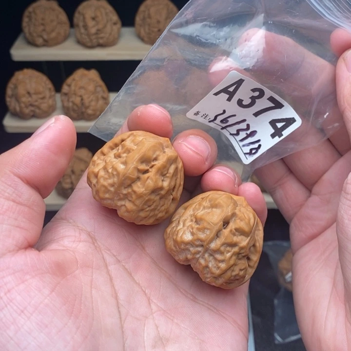 核桃A374蛤蟆头36尺三角箭毒