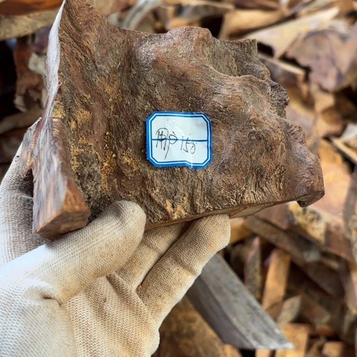 用***1柏木随行的黑油香块