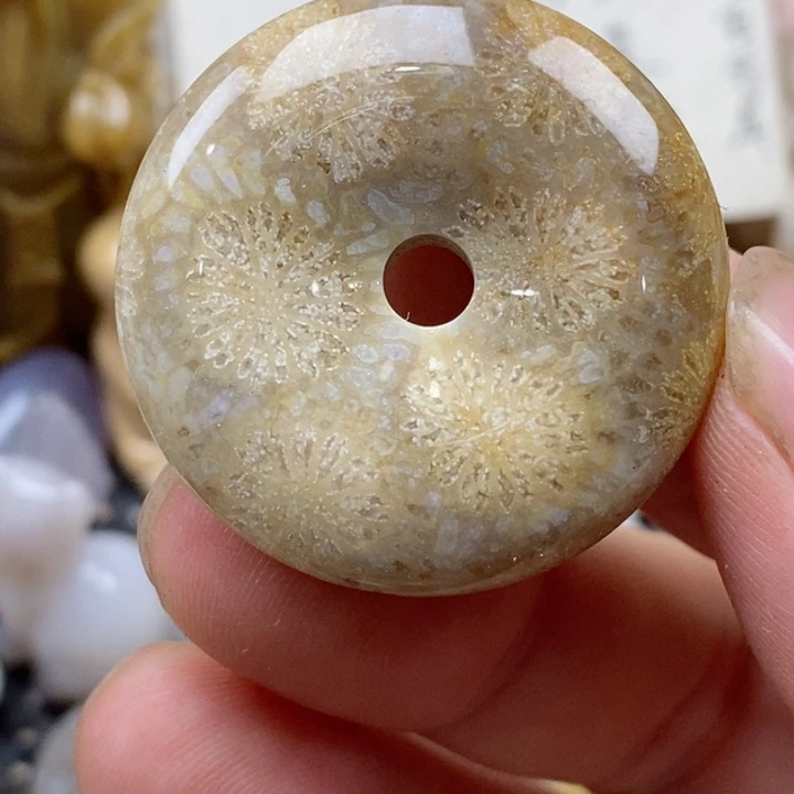 颈饰未镶嵌硅化珊瑚(珊瑚玉)
