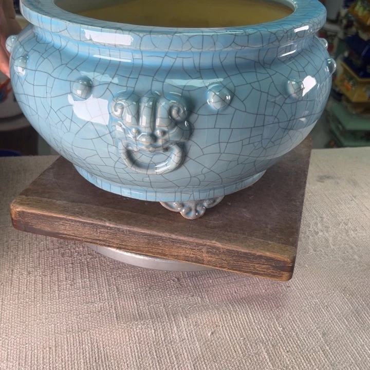 泳坤堂石湾盆树**刀微瑕