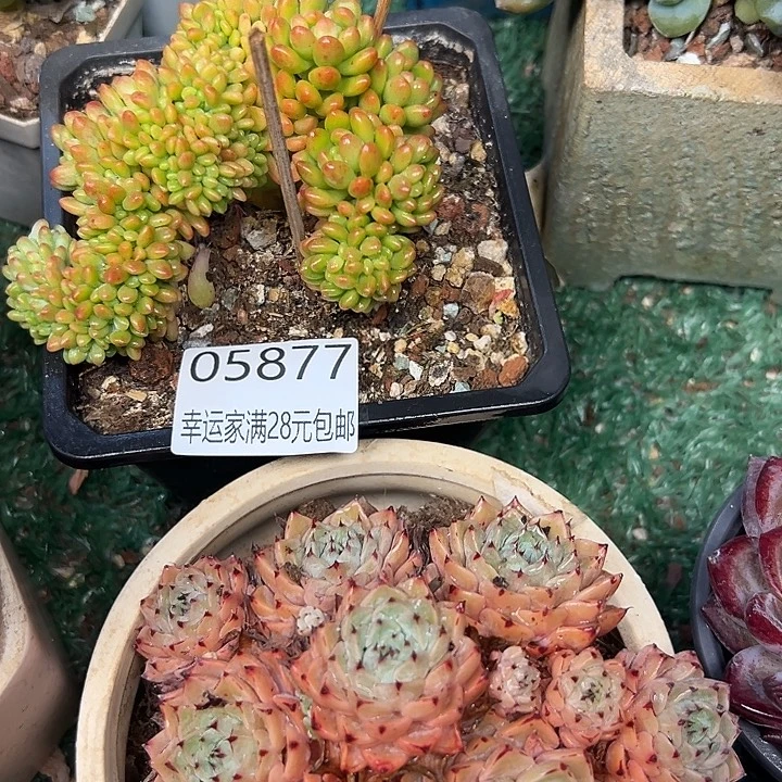 幸运的是我还没遇到过这么