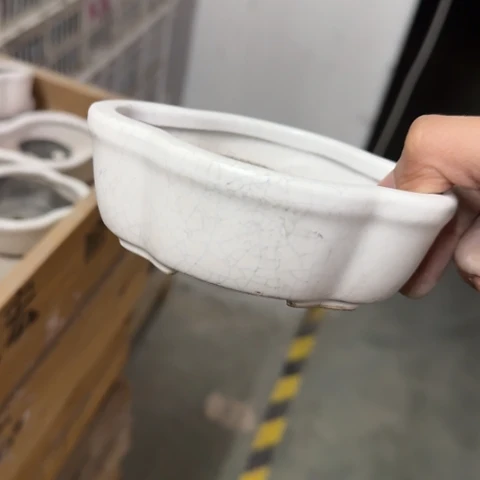 ·当场直播凑9元发·慎拍·全是福利·