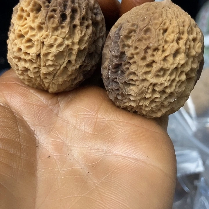 把件文玩核桃云南铁核桃基地84