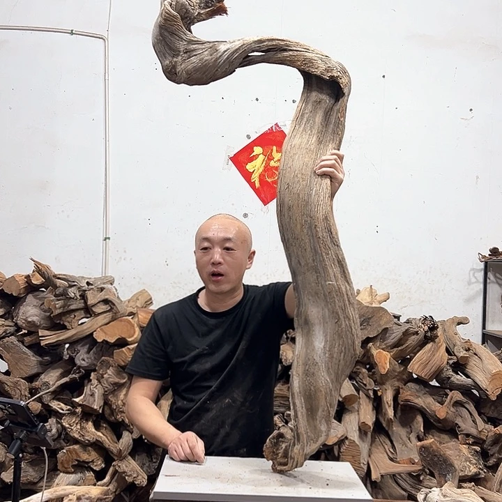 柏木凌**艺我们的生活也是如此吧