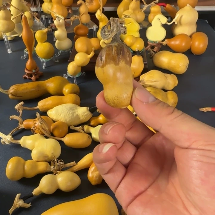 木****印石昌化石大哥己饥己溺宝贝宝贝宝贝哈哈哈吧