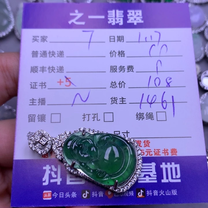 翡翠颈饰银S925镶嵌T**L