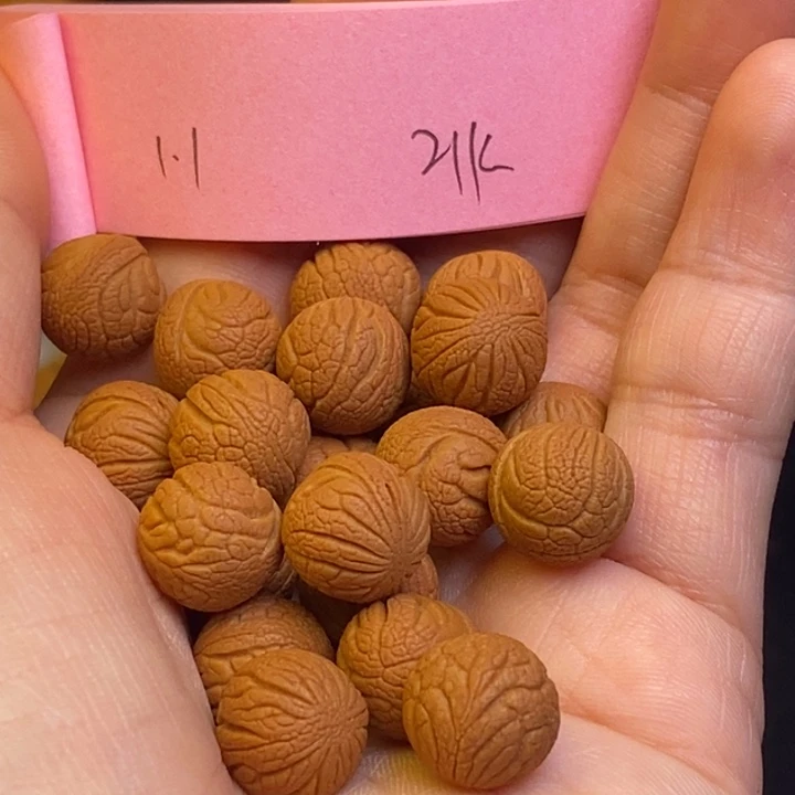 桃核吊坠秦岭龙纹桃核11