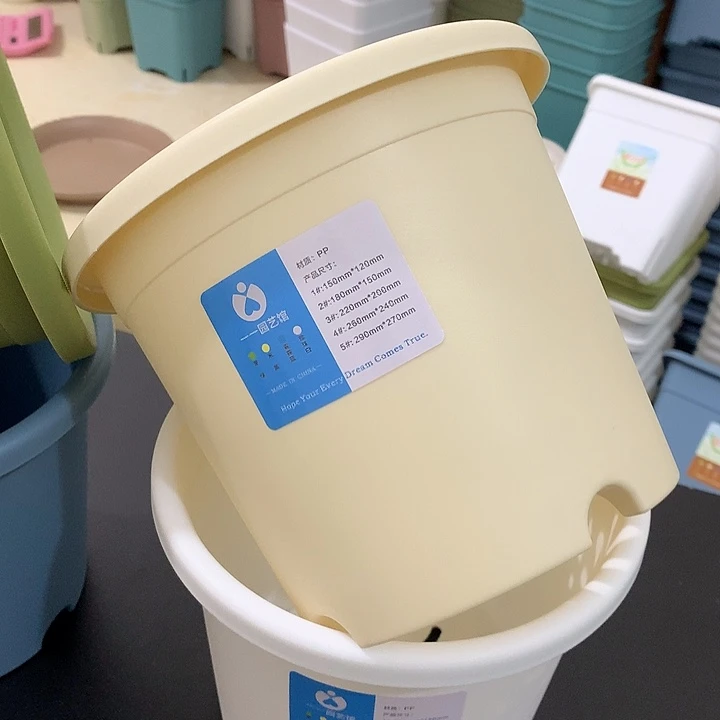 四季口18高15米黄5个