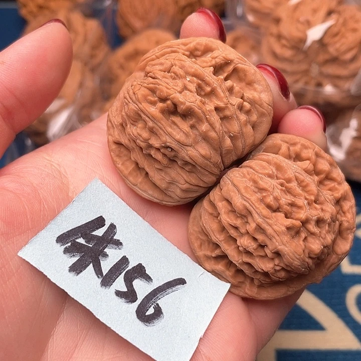 一*梅20米1111111111111