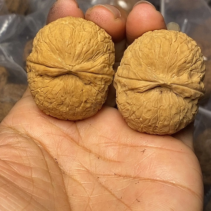 文玩核桃把件云南铁核桃63