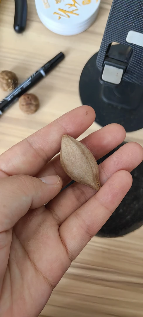 凡开紫金鼠补差价专用链接