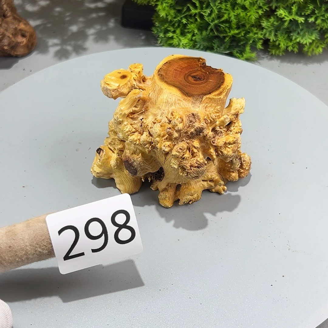 梨木R****Y火琉璃……火琉璃
