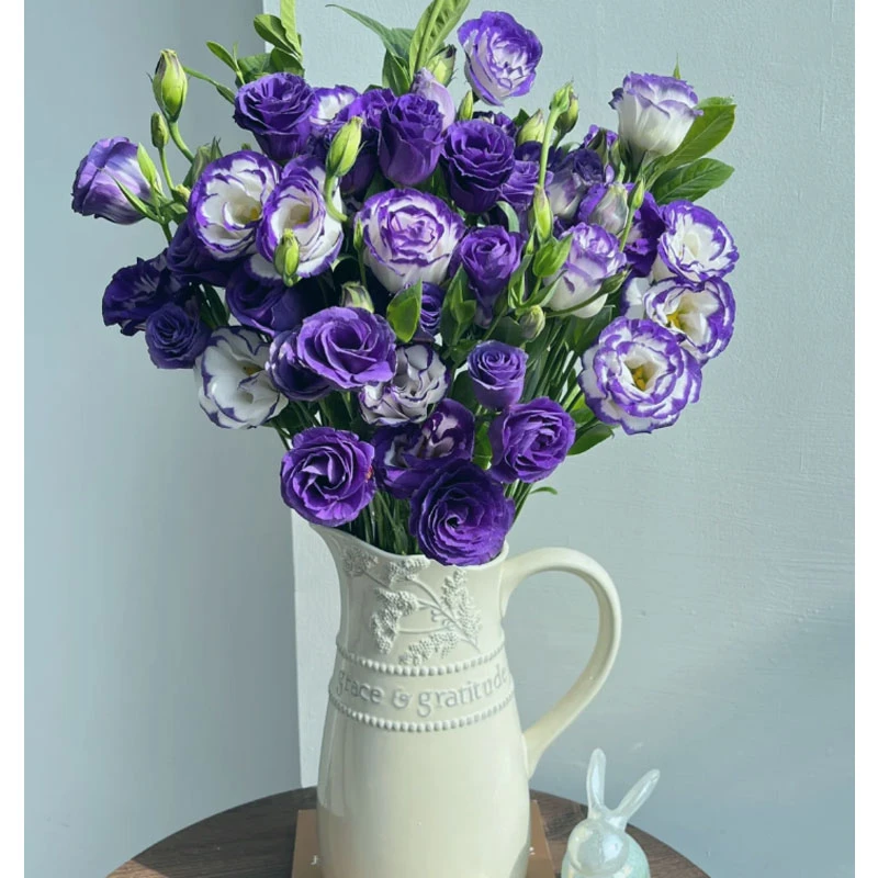 【藩篱匠人/A级稀有紫色洋桔梗】“无刺玫瑰”办公家用鲜切花云南直发