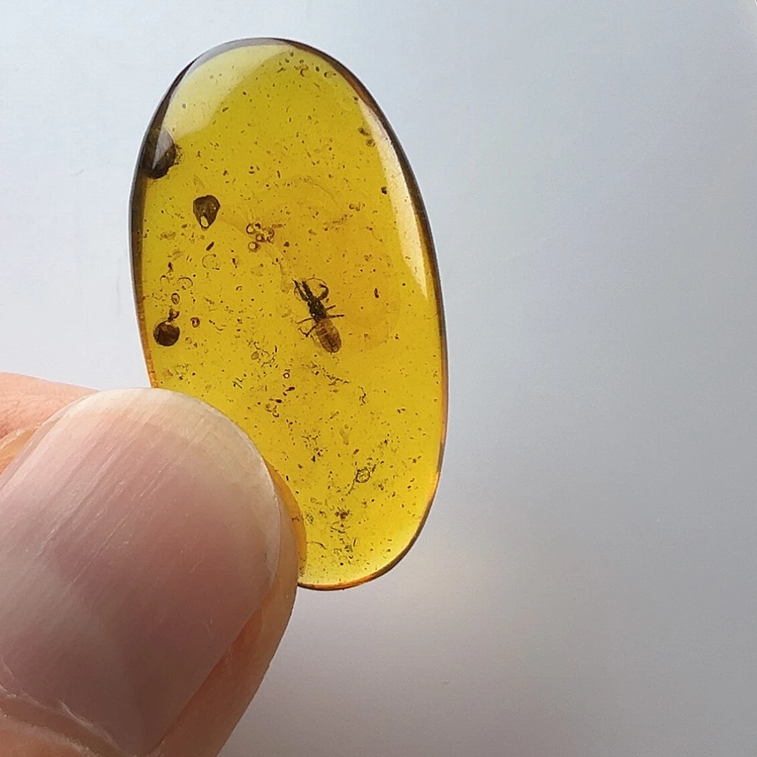 琥珀裸石未镶嵌努****来