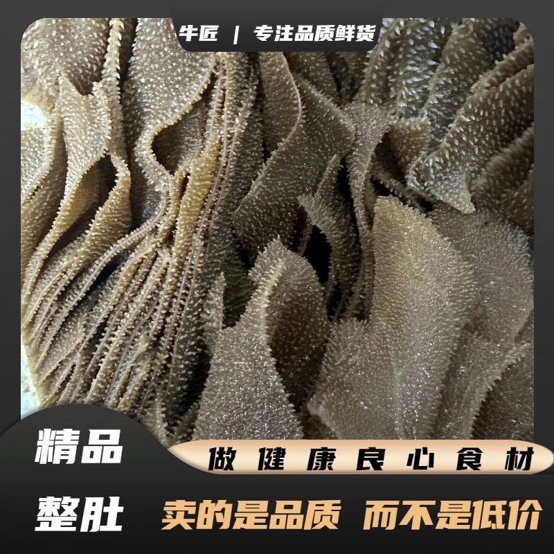 牛匠 5斤毛肚整肚牛毛肚黑个子牛杂火锅食材 固形物含量90%以上