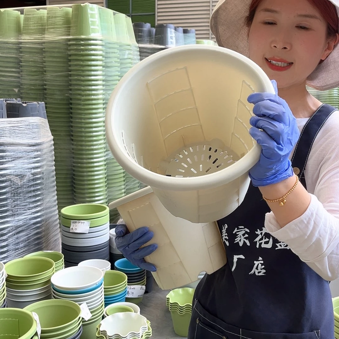 玫瑰盆240#米白色5个含托