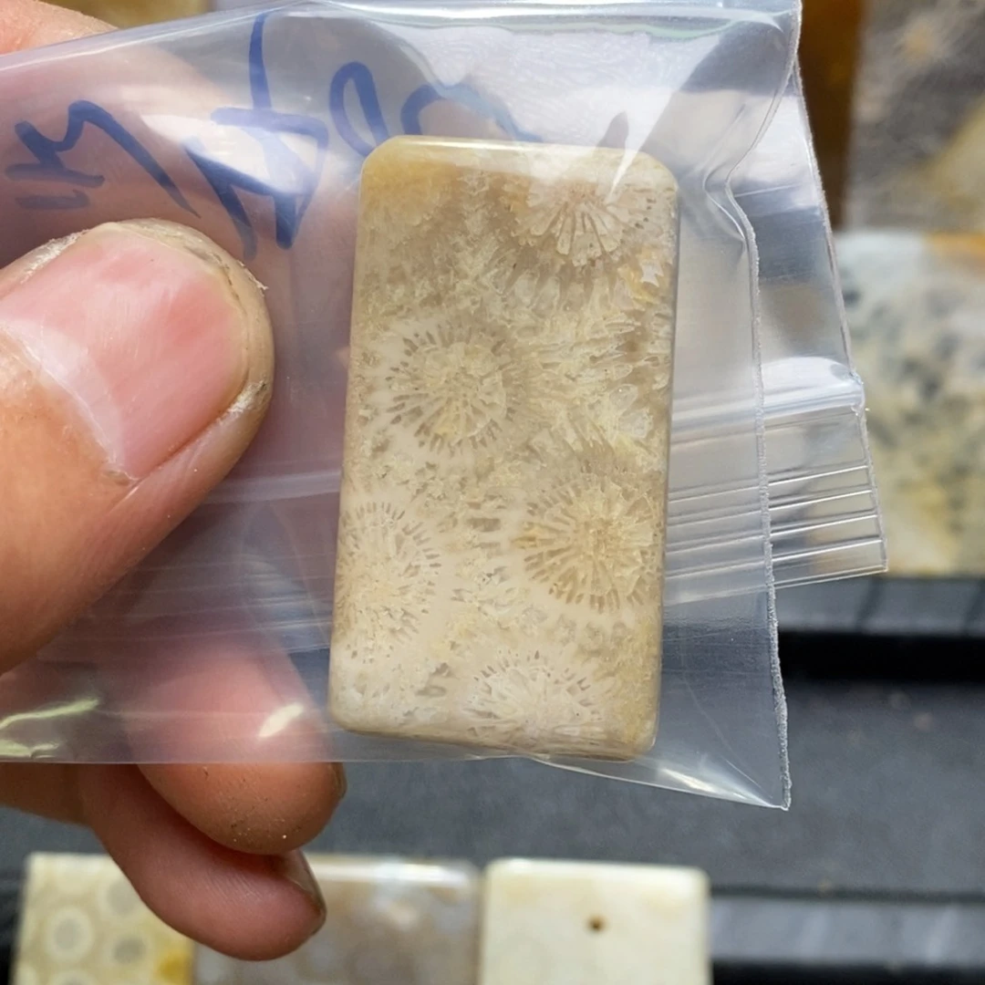 婷***姐未镶嵌硅化珊瑚（珊瑚玉）珠宝奇石