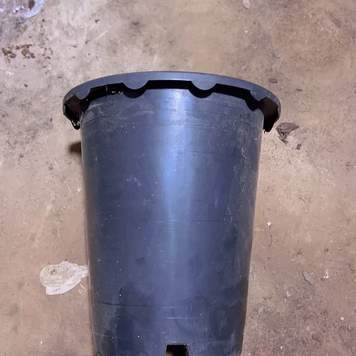 兰花盆口径17.5高19发12个