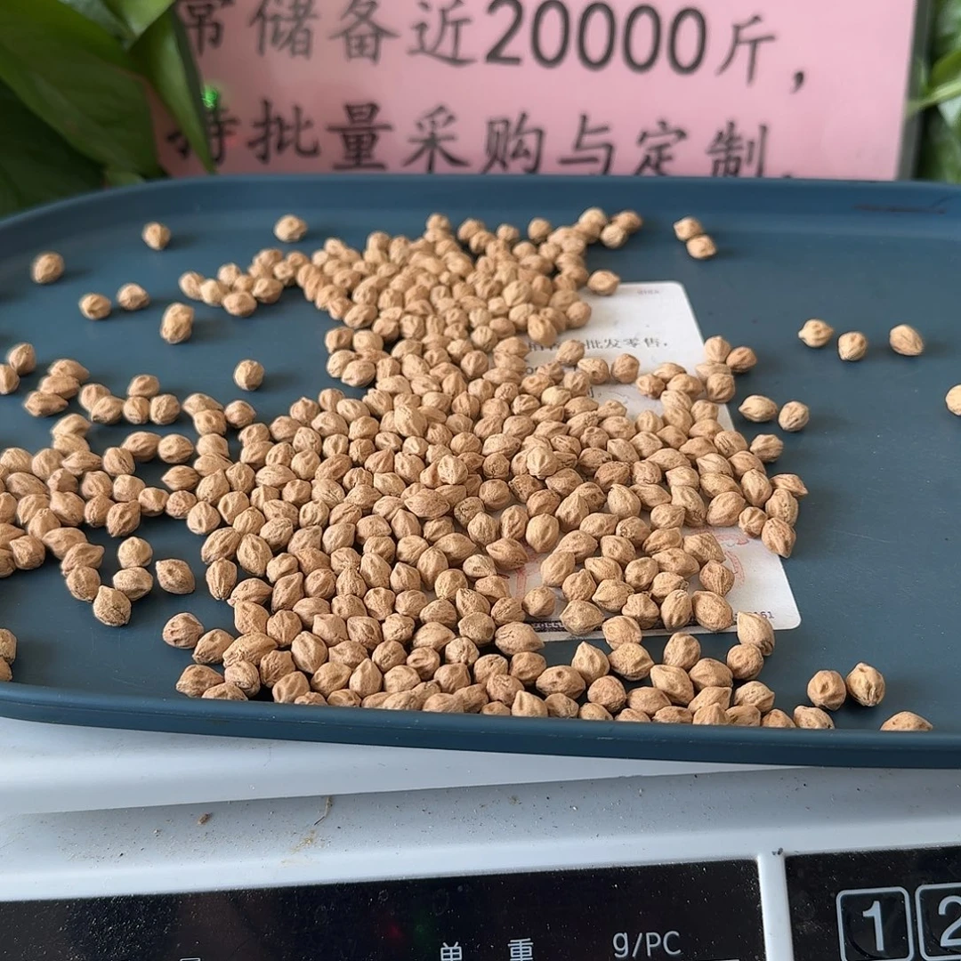 柏香籽/百香籽吊坠80克6.75+399颗左右FA014
