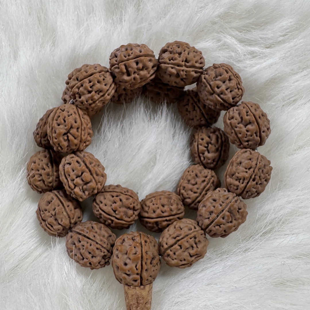 三通款盘龙王金刚菩提，10.5-10.75mm左右