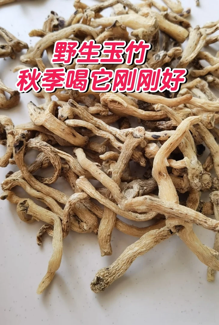 野外采挖,多年生玉竹,甘肃岷县包邮直发
