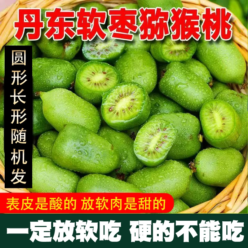 【务必放软吃】东北软枣猕猴桃奇异莓Vc小巨人【中大果一斤22-30个】Q
