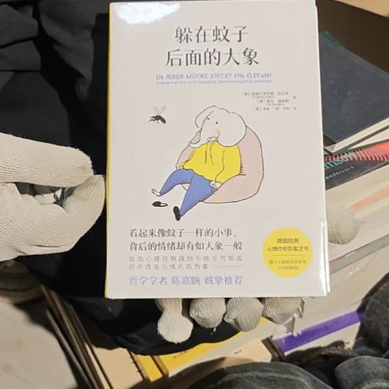 躲在蚊子后面的大象平装库存书