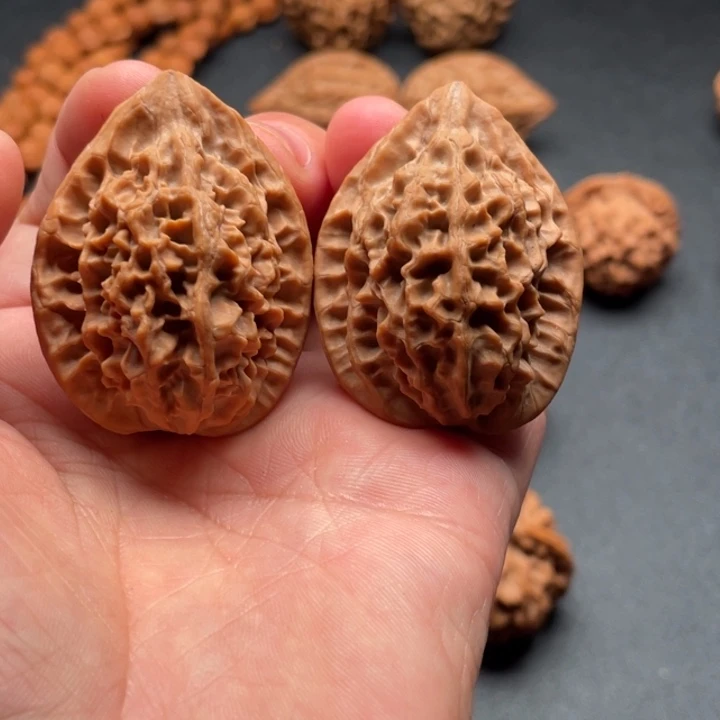 ****阳香榧木秦核等人的故事也在这里