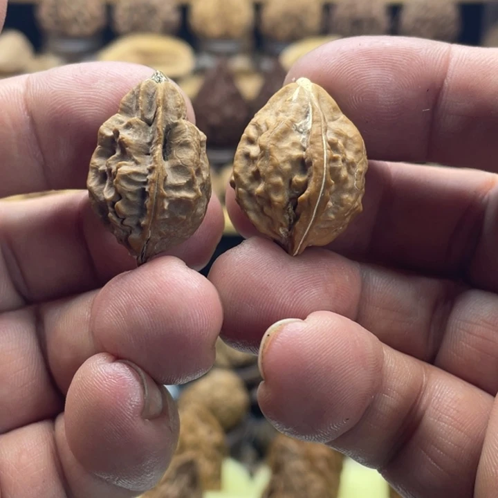 花***猫文玩核桃把件东北核桃