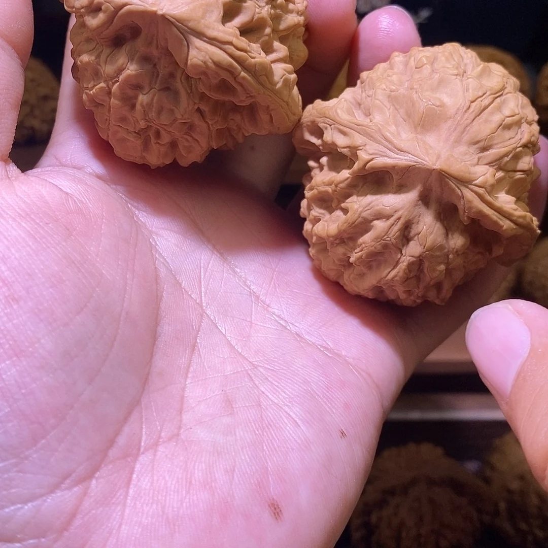 文玩核桃把件超**队88龙鼎