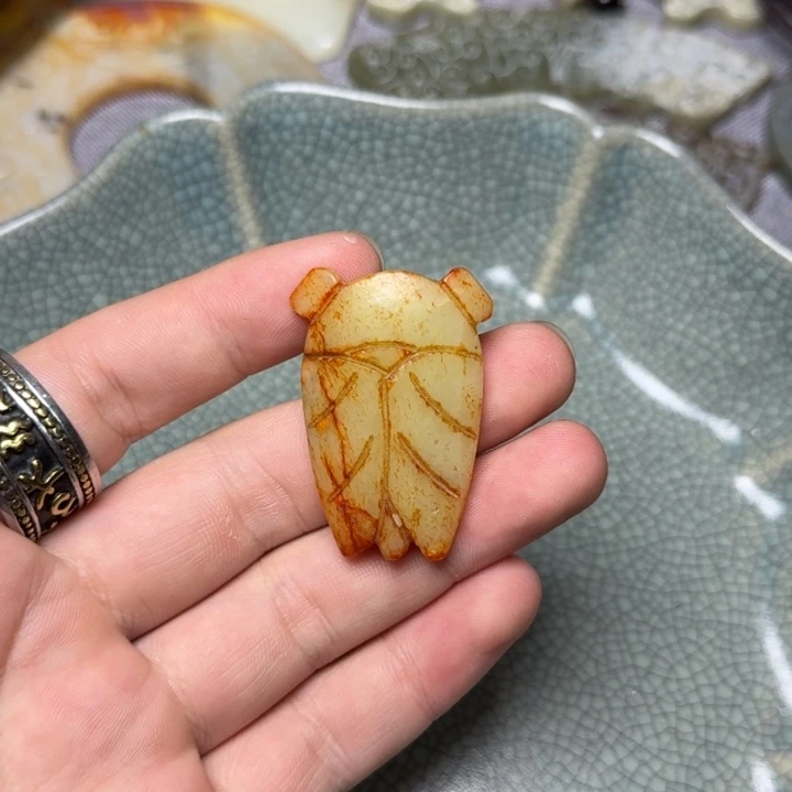 直播放漏专属链接47