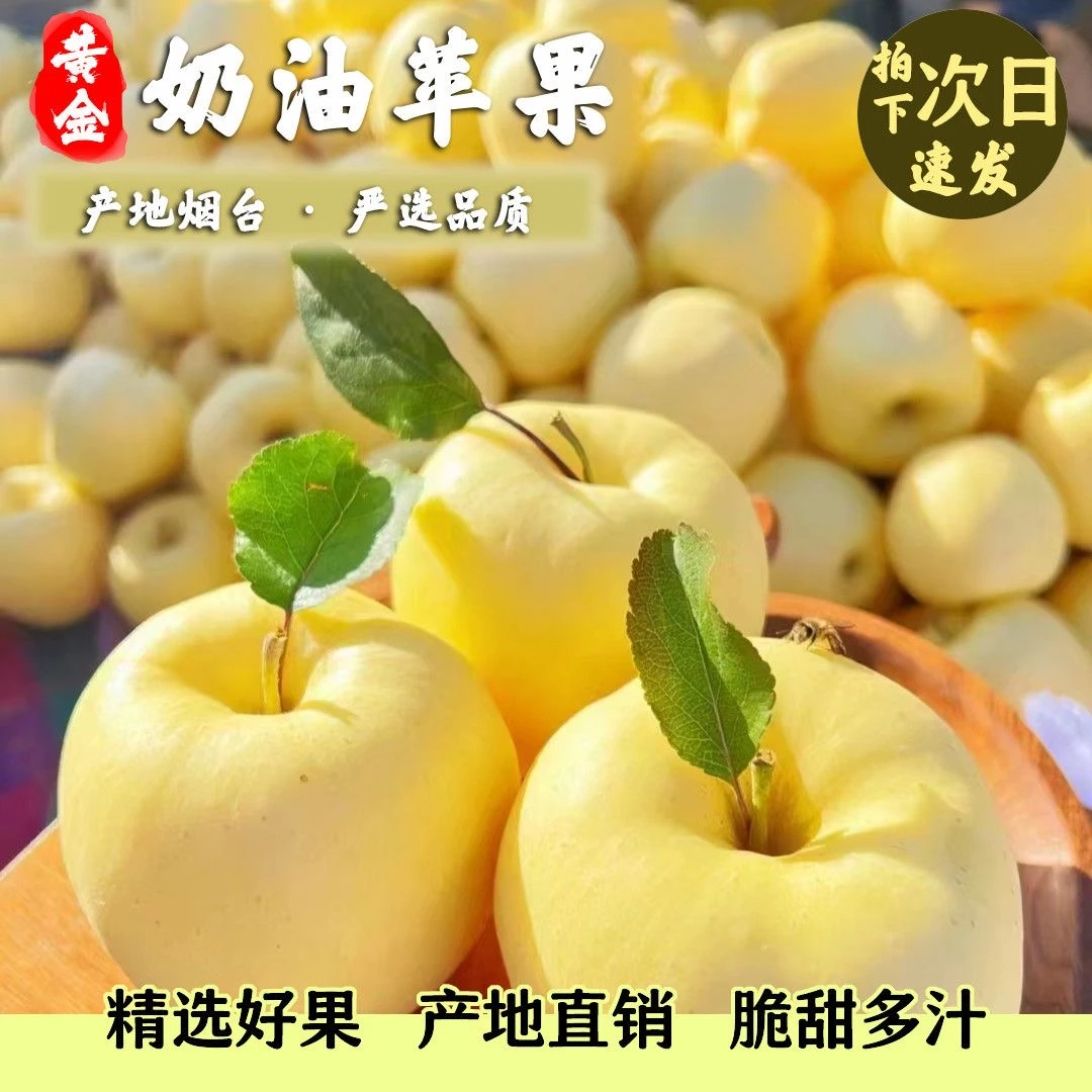 【山东烟台奶油苹果】脆甜多汁香甜可口产地现摘现发又甜又脆.