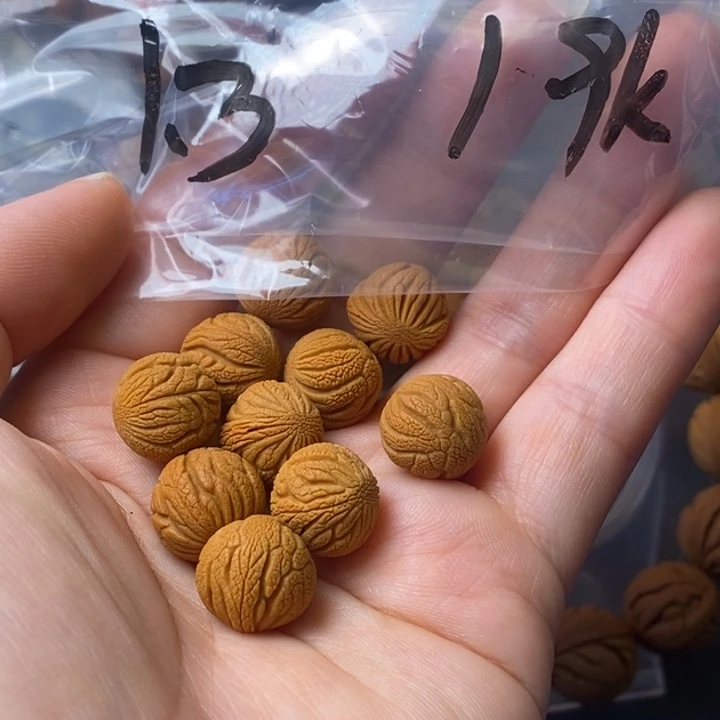 吊坠文玩核桃秦岭野生龙纹桃核13