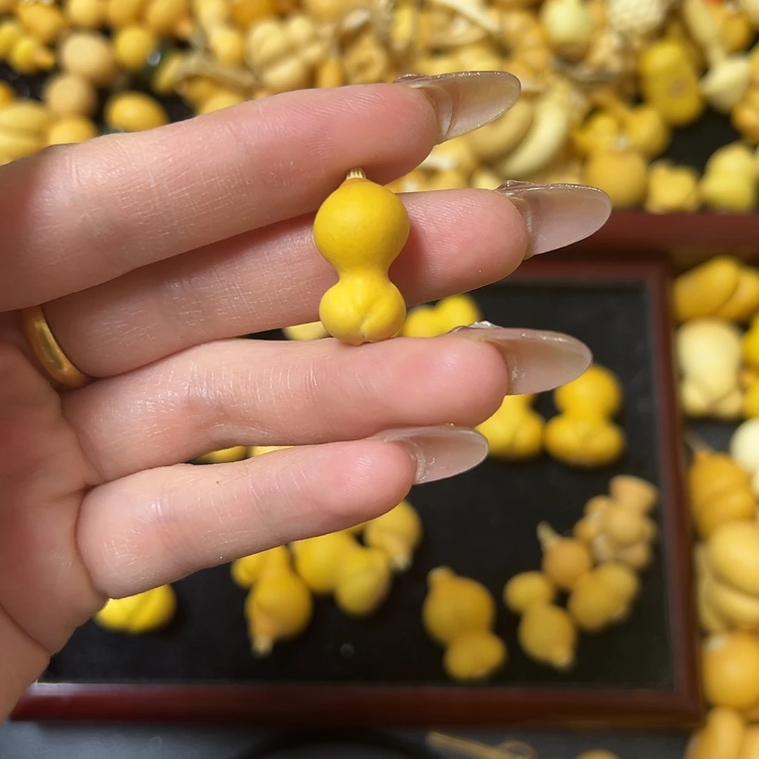 菲葫芦葫芦葫芦葫芦