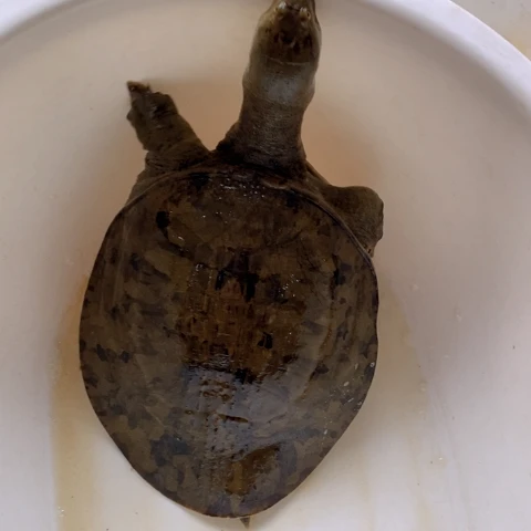 中国大陆开箱视频验货 死了包赔
