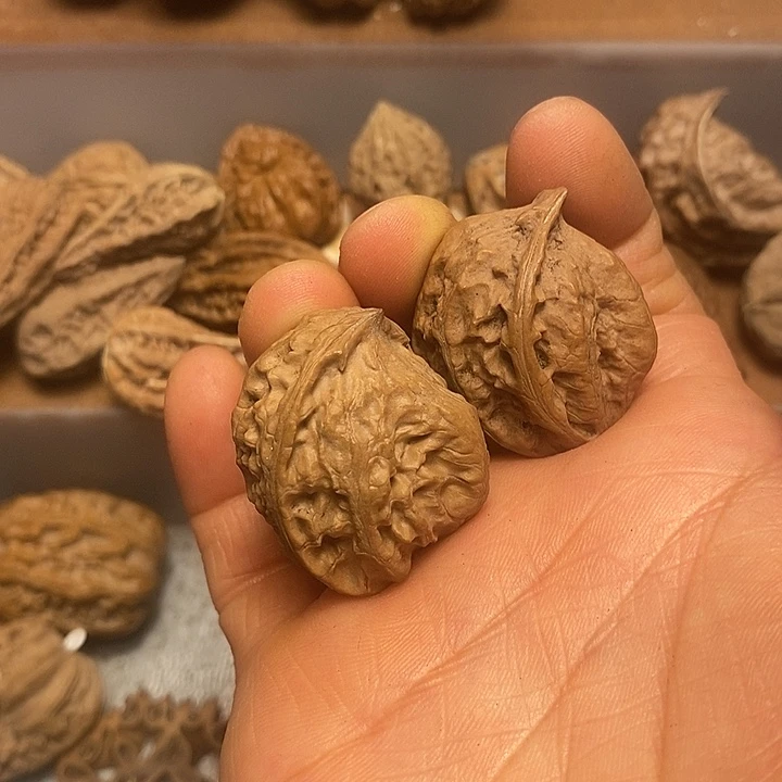 吊坠文玩核桃不错