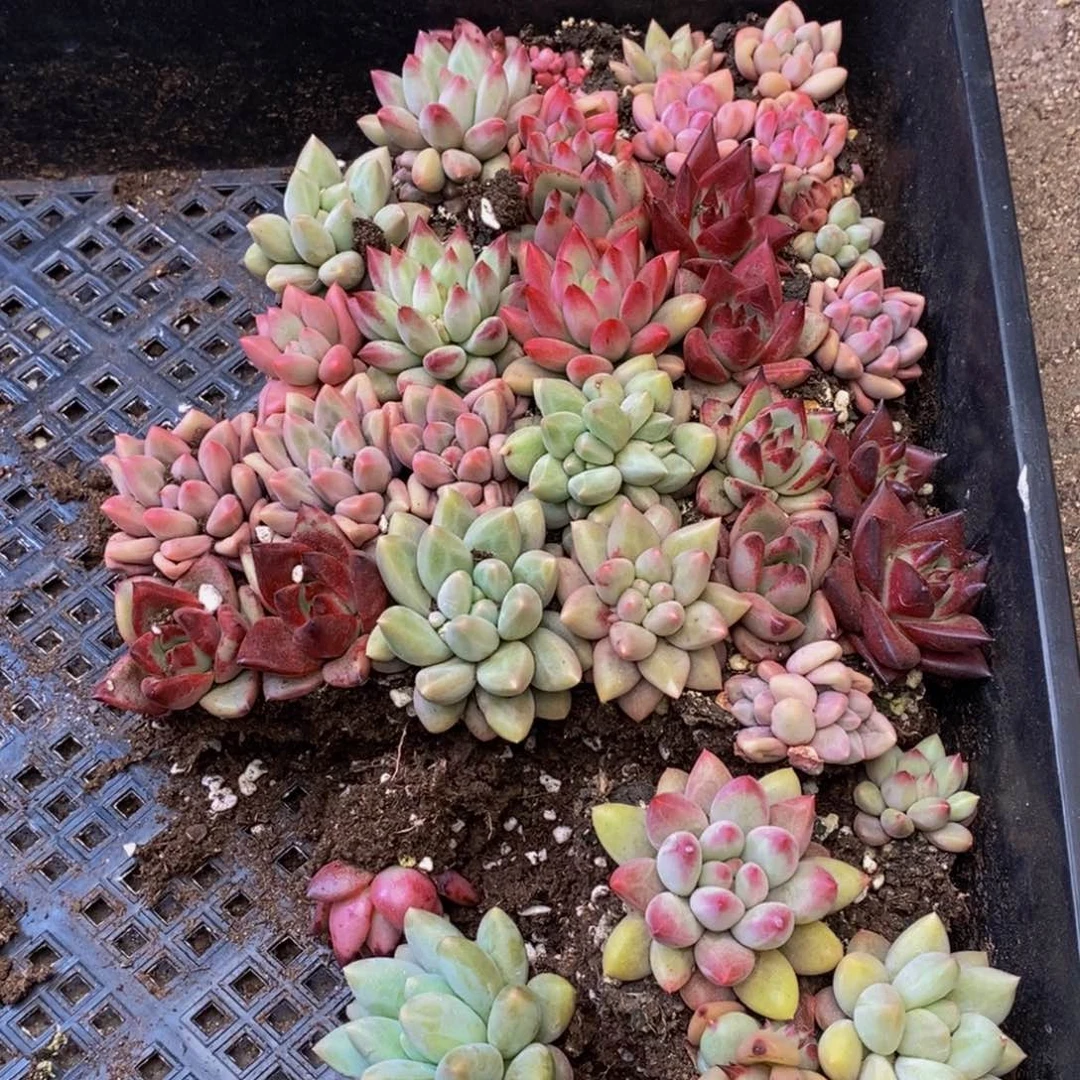 158的人在一起的时候就